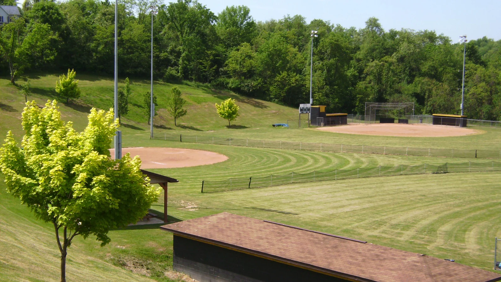 Two empty community baseball diamonds surrounded by grass and trees.