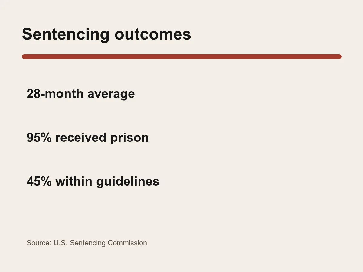 Graphic lists an average sentence of 28 months and a prison sentence rate of 95 percent.