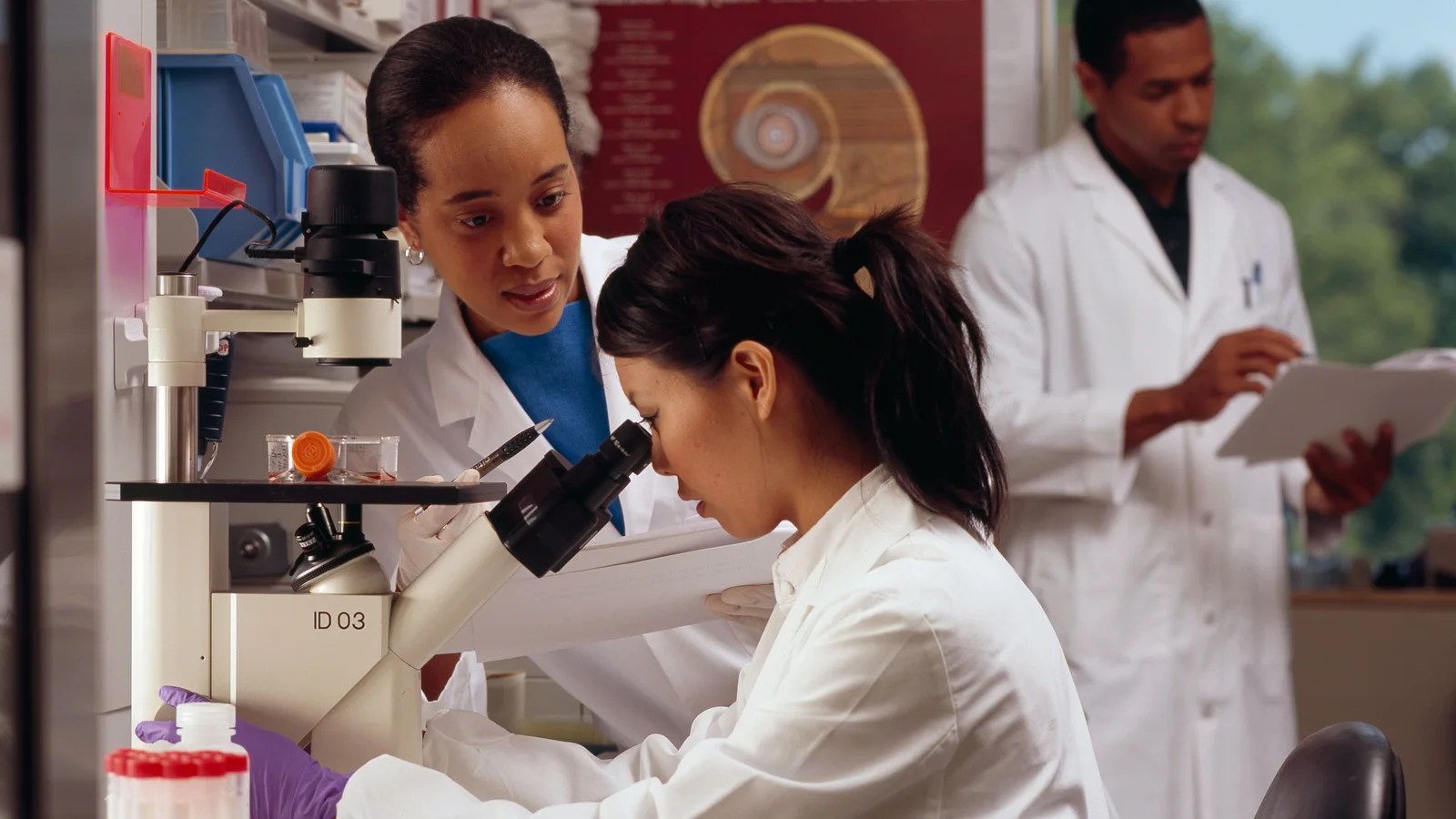 Three laboratory researchers work with a microscope and research notes beside a bright window.