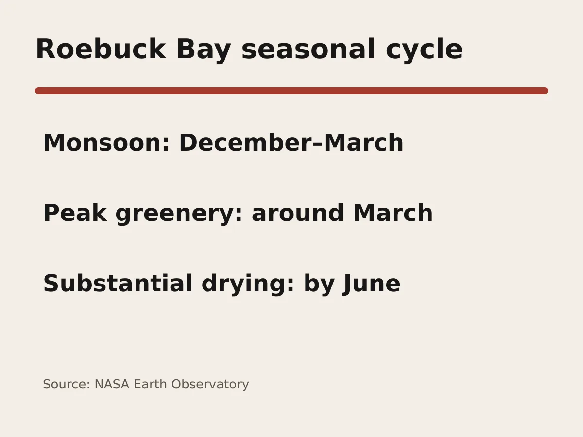 Graphic shows monsoon months December to March, peak greenery in March and drying by June.