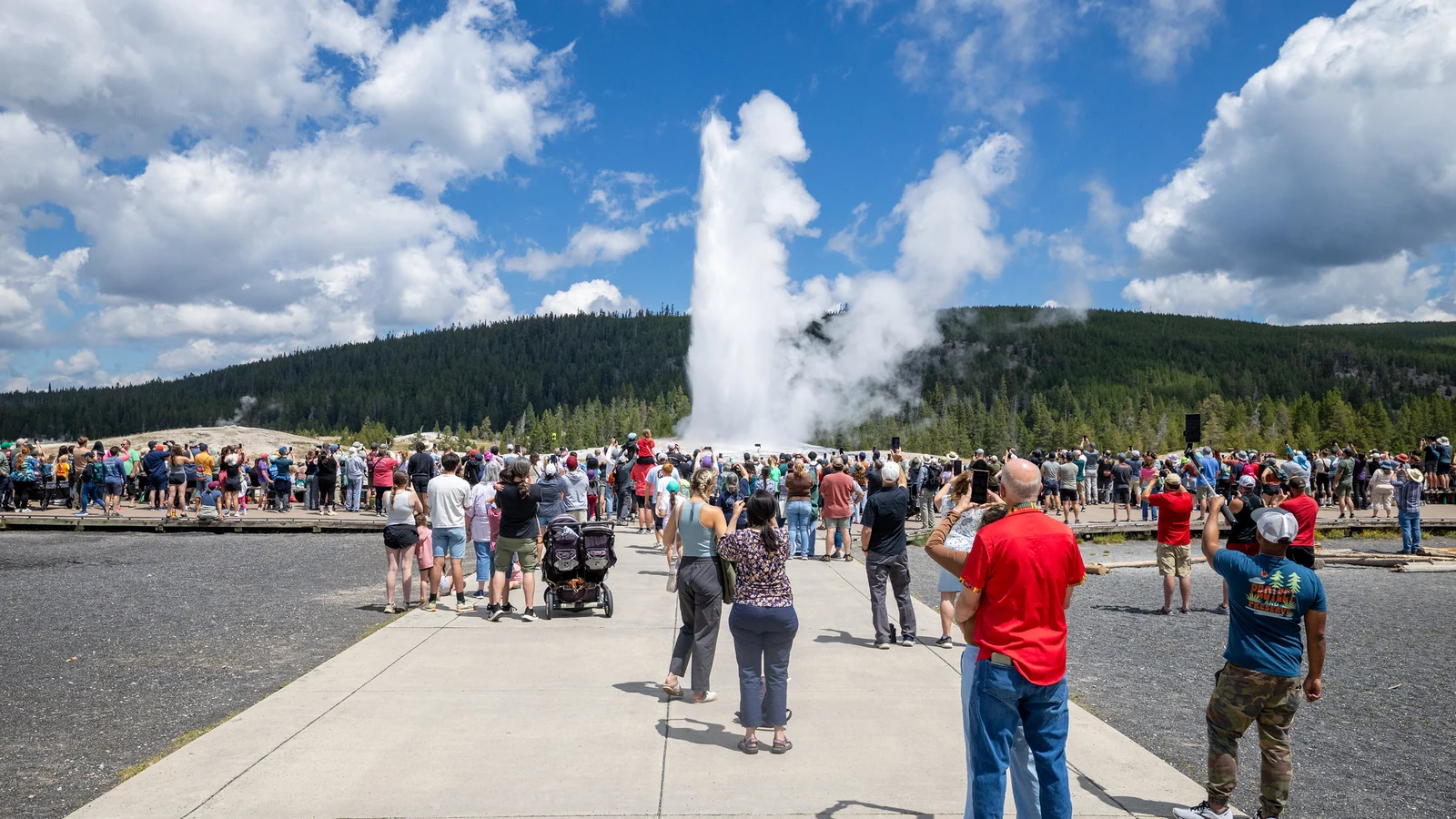 A crowd watches Old Faithful erupt under a blue sky in Yellowstone National Park.